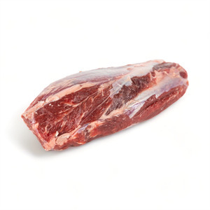 American Shank Collical