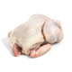 Kosher David Elliot Whole Chicken Brollier